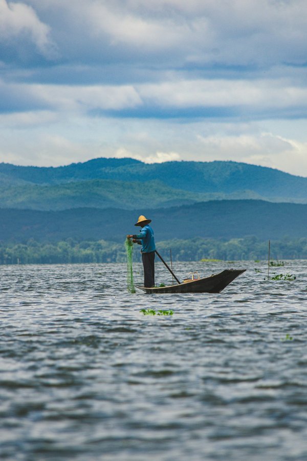Où apprendre les techniques de la pêche à la mouche dans les lacs écossais : guides et saisons ?