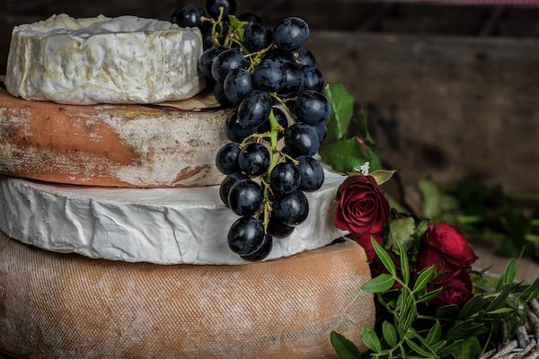 Comment découvrir les traditions de la fabrication du fromage de chèvre en Grèce : fermes et stages ?